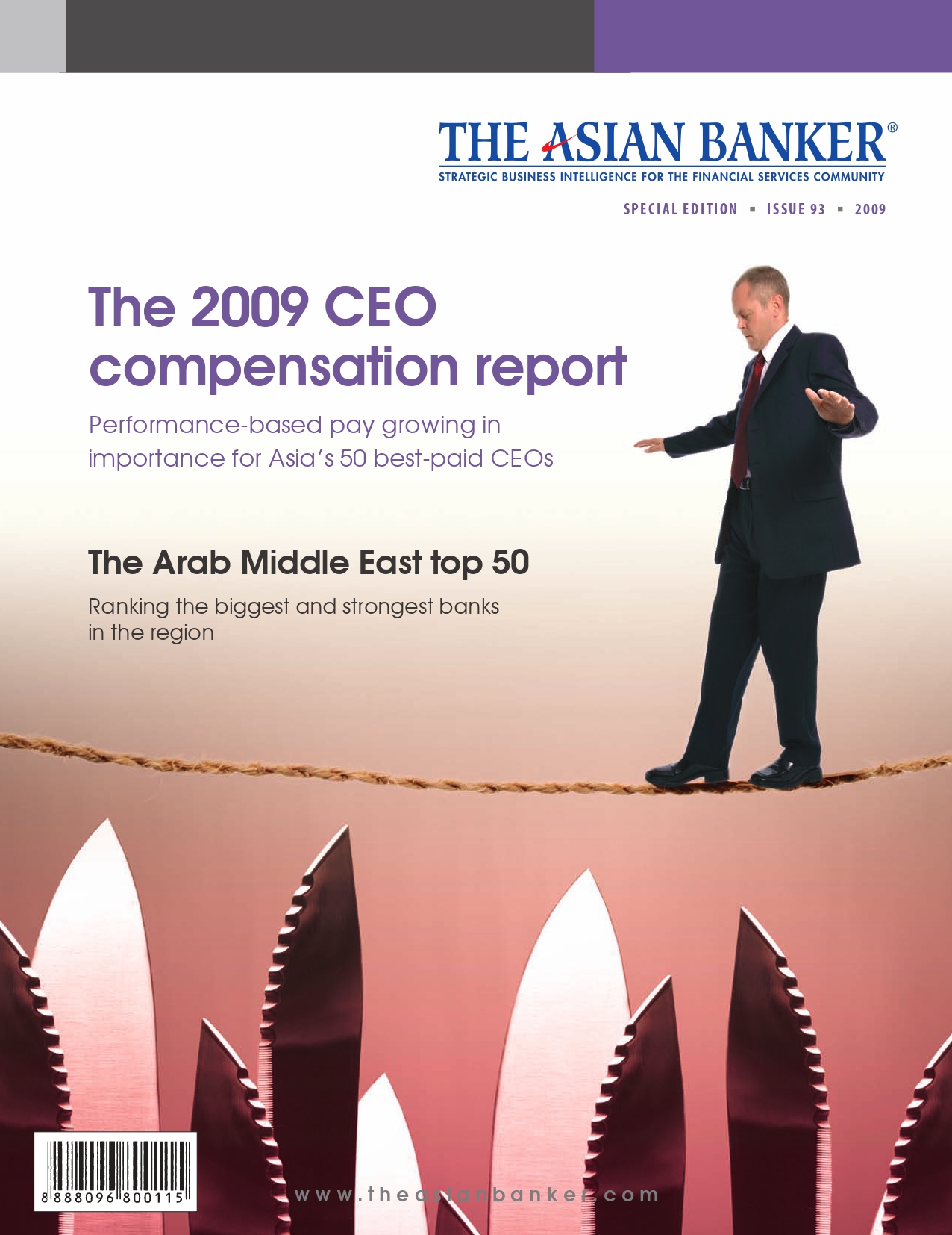 The 2009 CEO compensation report